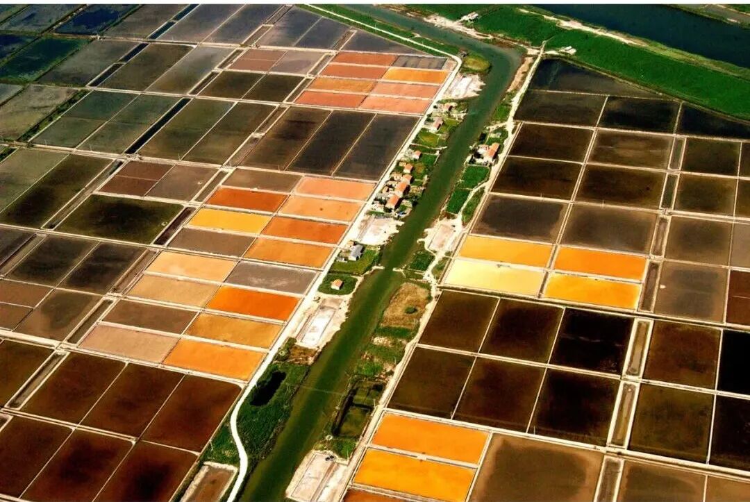 1761700985837780.jpg 1.jpg